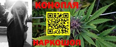 спиды Сланцы
